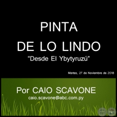 PINTA DE LO LINDO - Desde El Ybytyruzú - Por CAIO SCAVONE - Martes, 27 de Noviembre de 2018